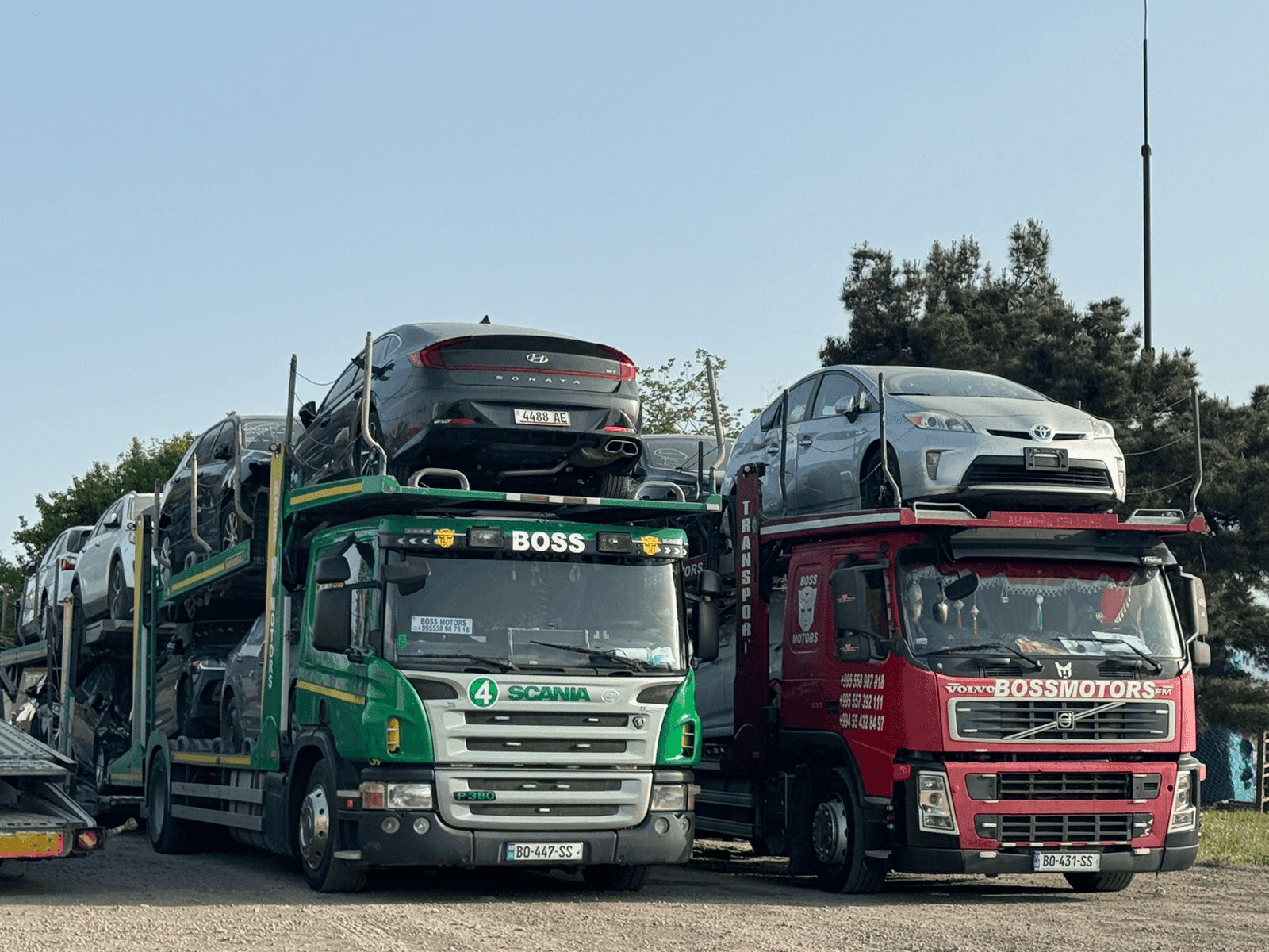 International shipping and shopping